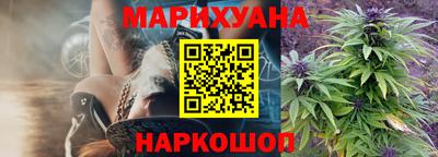 МДПВ Пенза
