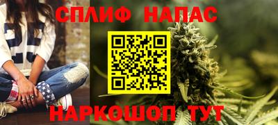 МДПВ Пенза